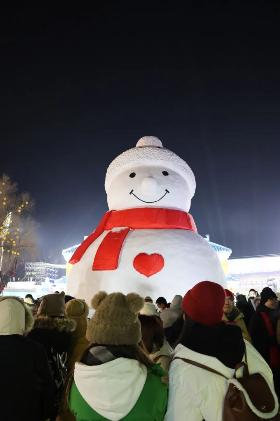 辽源冰雪节日记图片