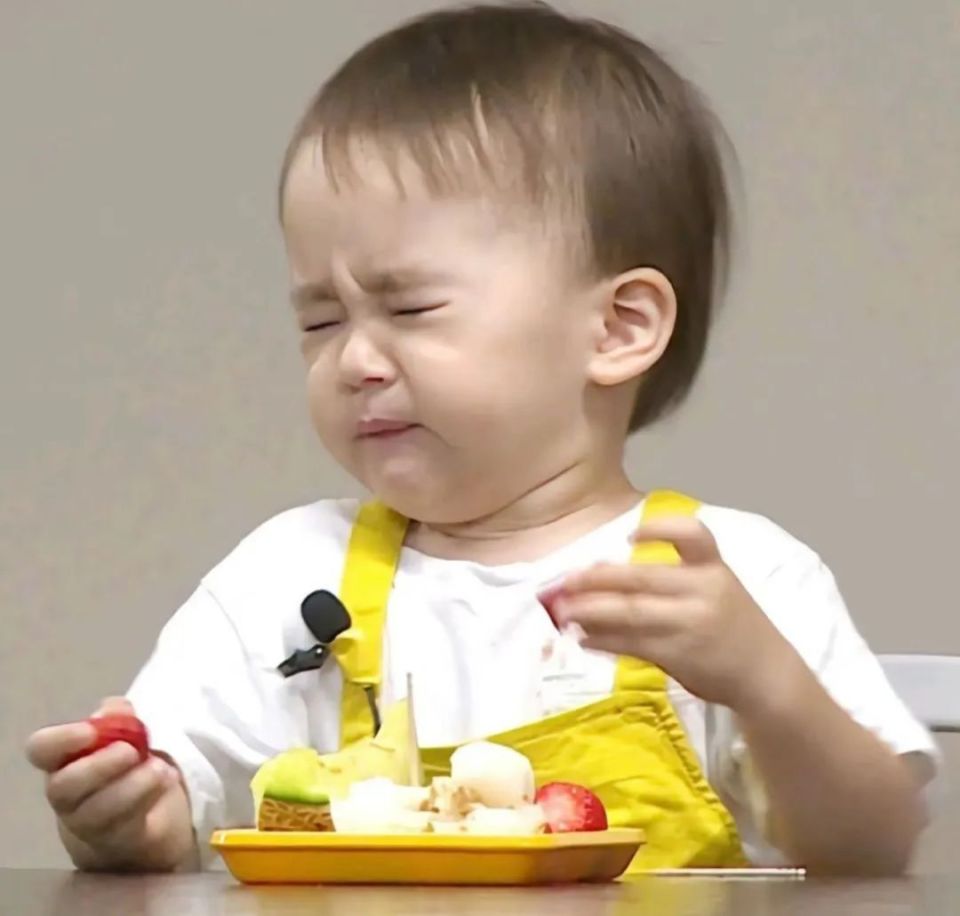 还记得表情包里的威廉和本特利吗?不足十岁粉丝百万?