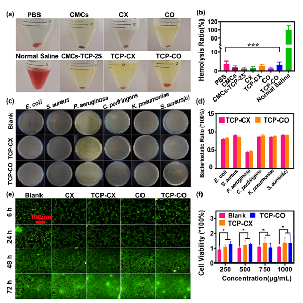 生物止血膜有哪些福州大学／中科院物构所《AFM》：生物启发的自愈性水凝胶，实现胃溃疡快速止血与促进伤口愈合_https://www.jmylbn.com_新闻资讯_第5张
