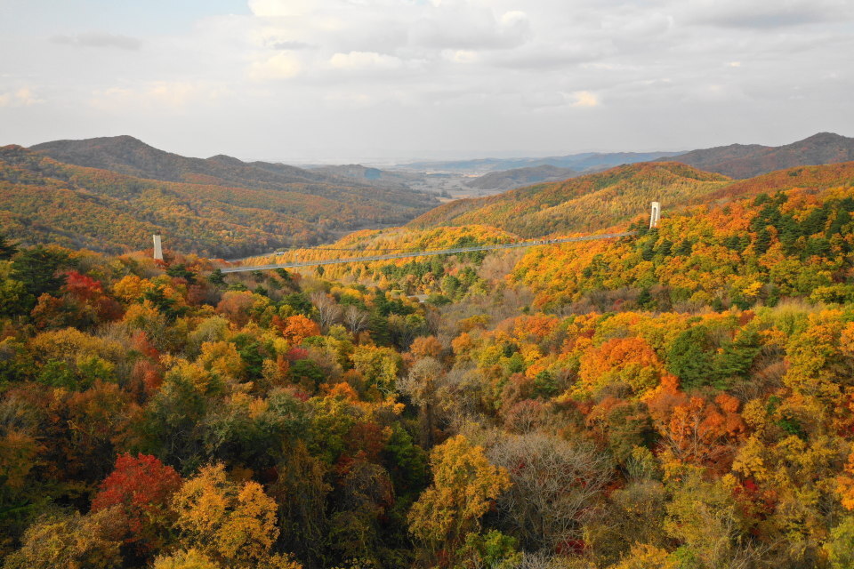 梅河口:鸡冠山"枫"景如画引客来