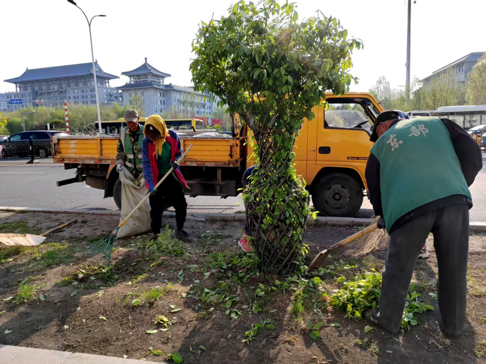 哈尔滨市道外区提升园林绿化景观效果