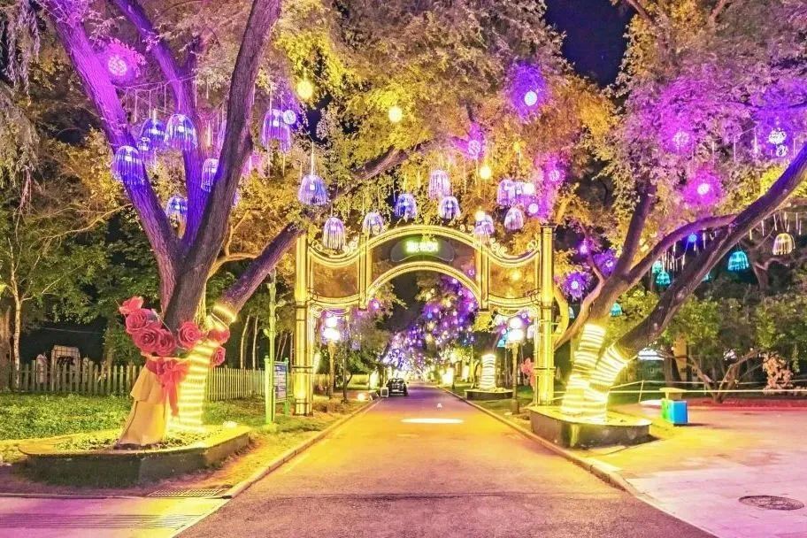以光为引 共赴冰城夏夜浪漫！太阳岛荧光夜跑今晚启幕