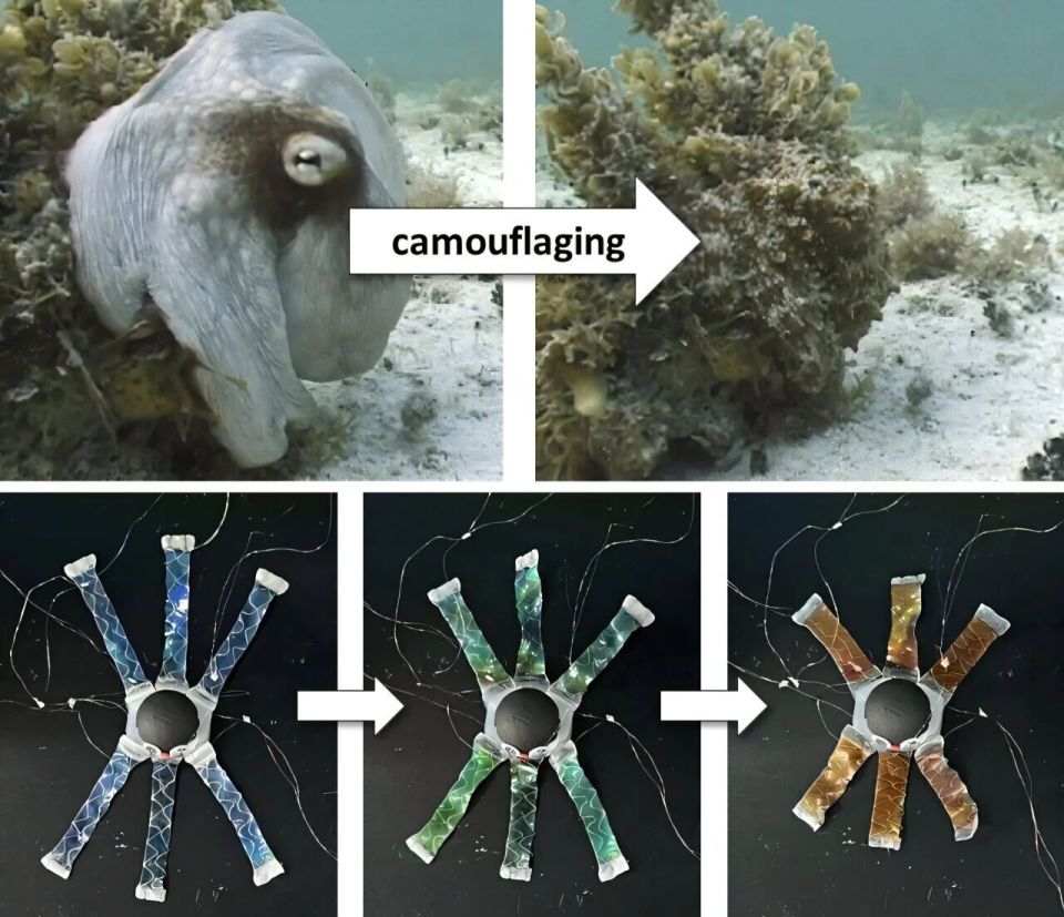 小鼠脑定位怎么固定追问daily ｜ 呼吸妙用：吸气接收线索，呼气重构记忆；动物有情感但无“人样”思维；使用食物揭示AI文化盲点与区域偏见_https://www.jmylbn.com_新闻资讯_第10张