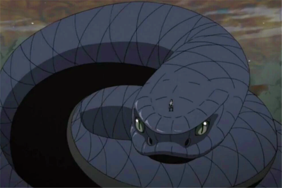 青蛇是一条体型和实力都足以和二代万蛇相媲美的强大通灵兽.