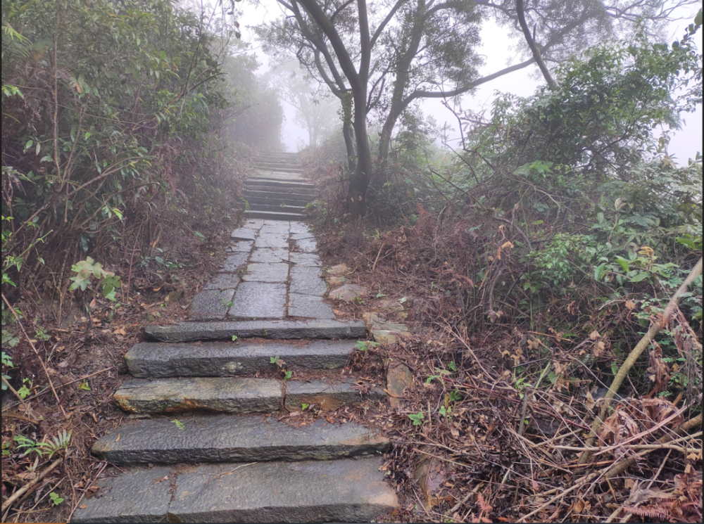 鹤山市"千里步道"项目启动|彩虹岭古驿道:链接新时代 焕发新光彩_腾讯