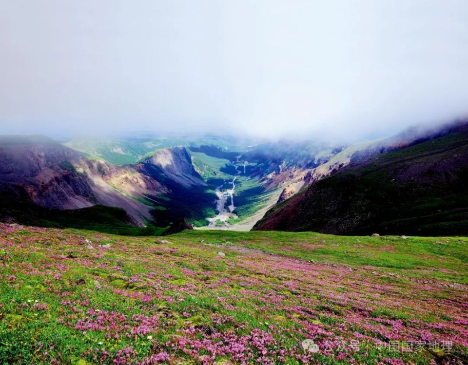 5处夏天不能错过的风景,哪一处让你心动?