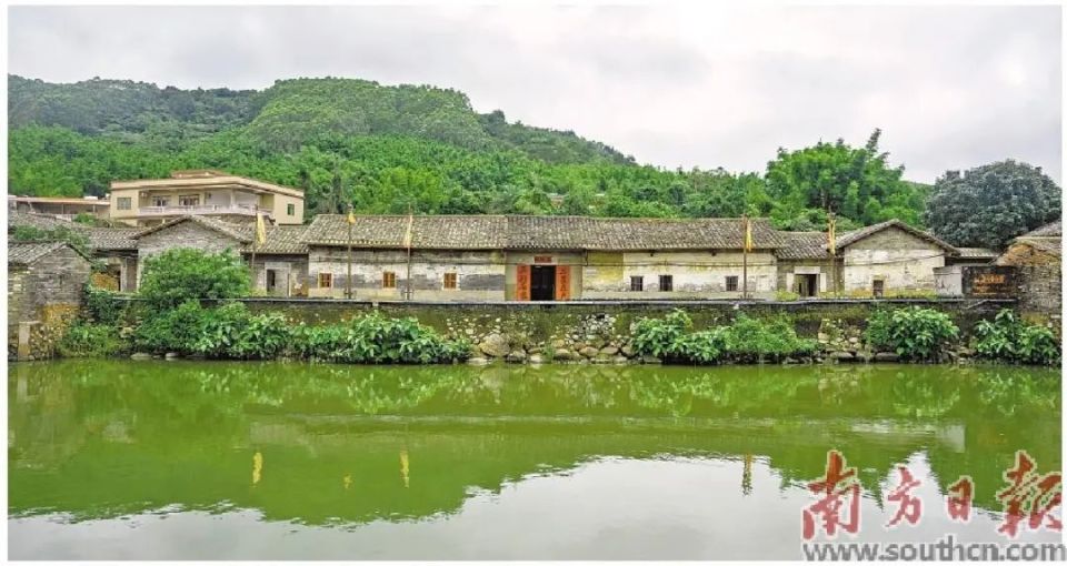 惠州这个百年古村不一般!《南方日报》今日头版聚焦报道
