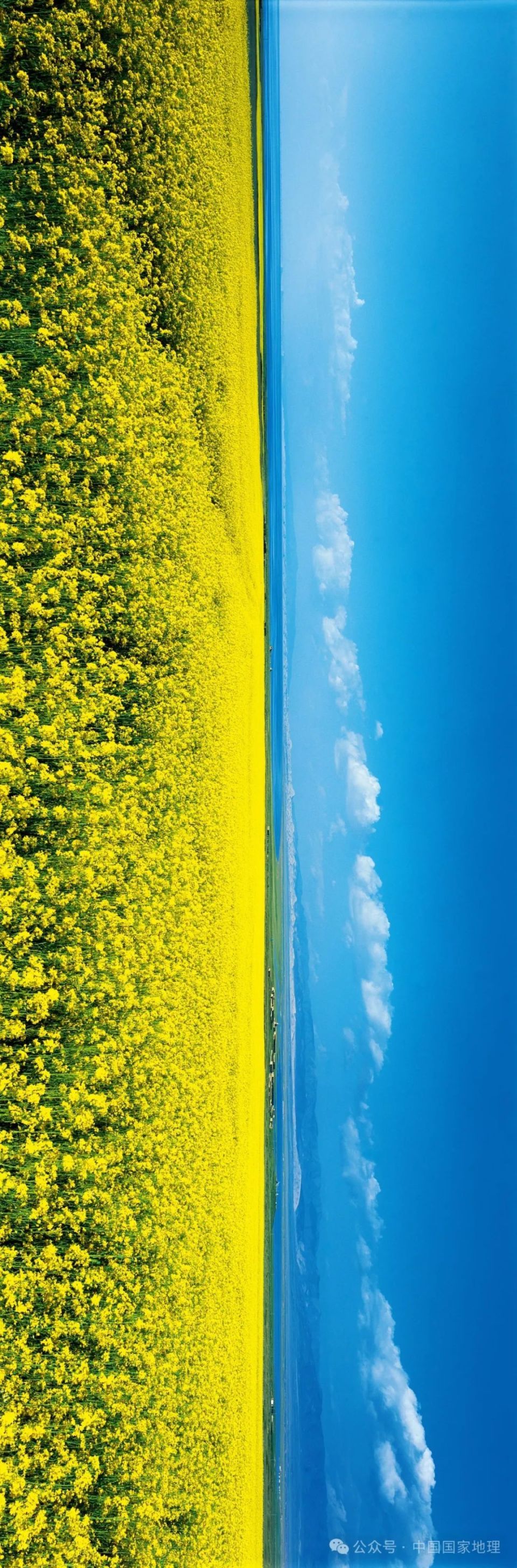 5处夏天不能错过的风景,哪一处让你心动?