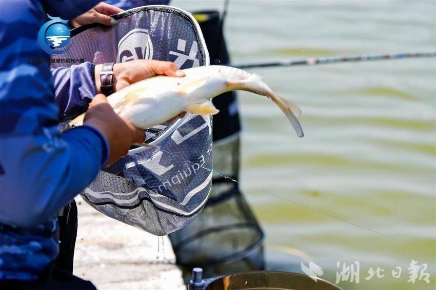 钓鱼比拼的是耐心和定力,发展同样如此.