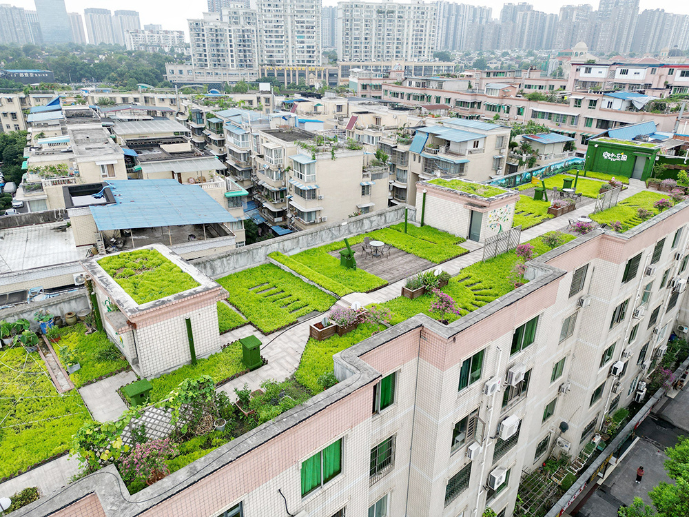 天台花园楼顶绿化图片图片