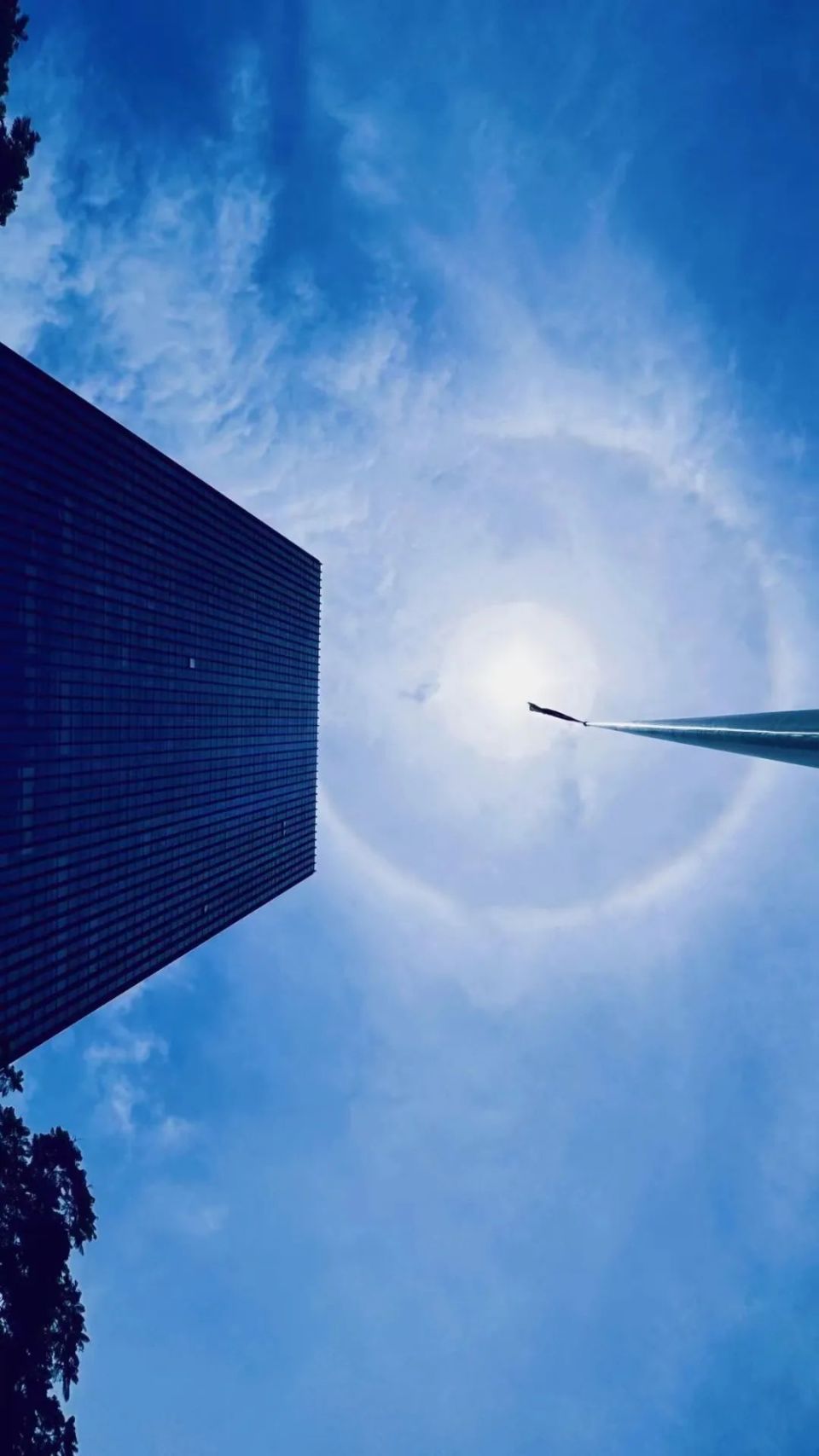 快抬头!珠海上空现绝美日晕,自带"彩虹光环"!