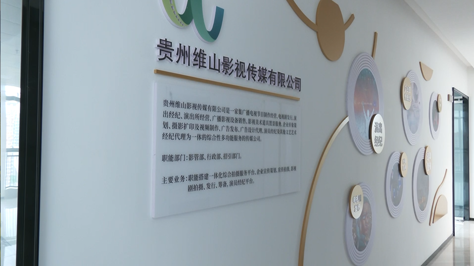 青数聚·贵州省青年大数据创新创业行动计划副秘书长