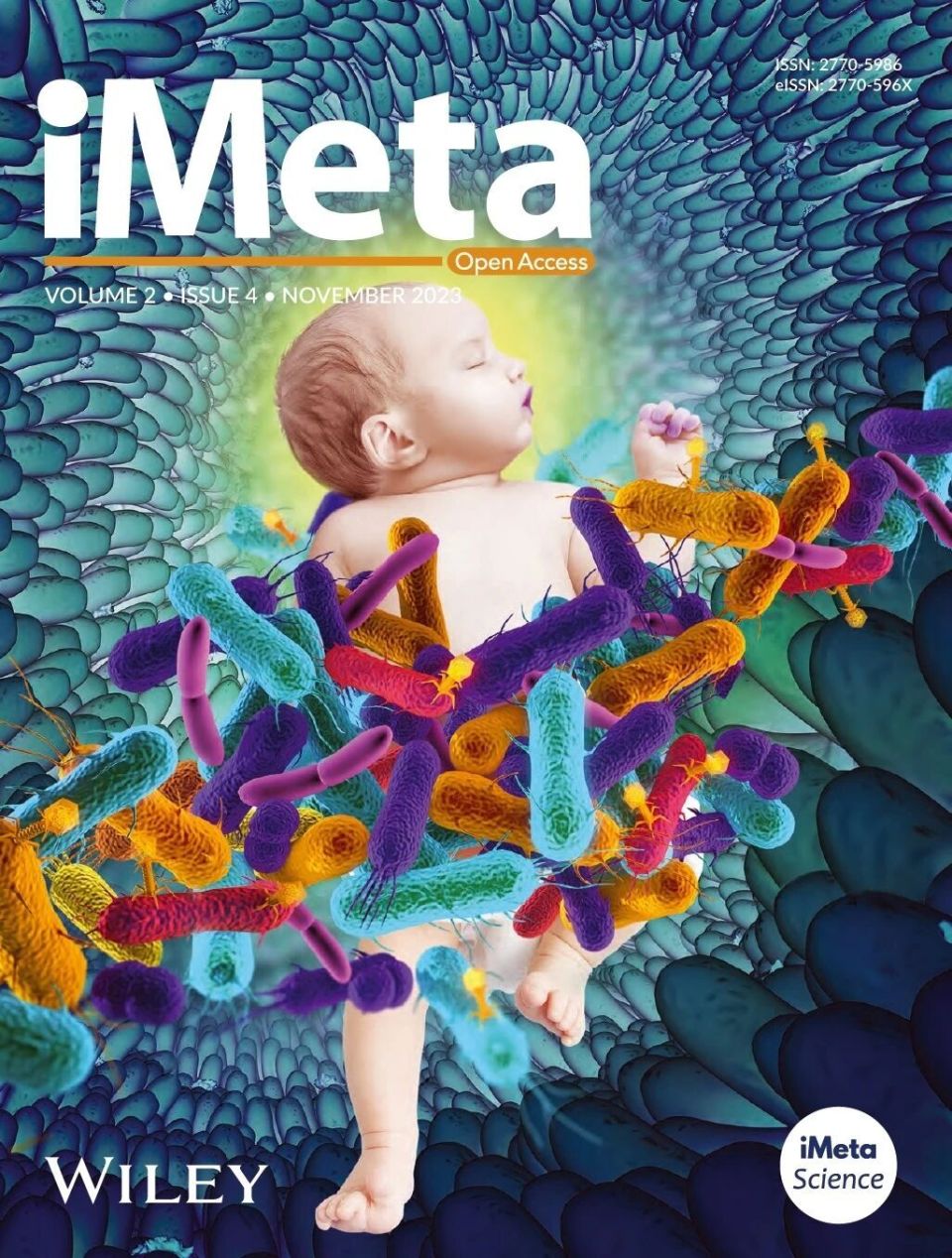 透化治疗什么iMeta ｜ 中国药科大学顾丰组-解析黄葵治疗糖尿病肾病机制_https://www.jmylbn.com_新闻资讯_第18张