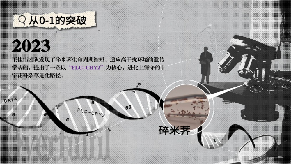 树能活很久，草为什么不能｜全是大问题x王佳伟_腾讯新闻