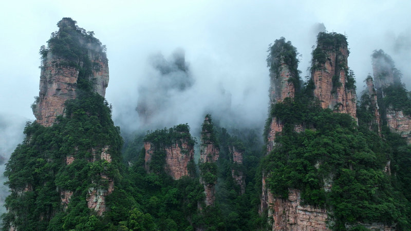 张家界武陵源:黄石寨雨后峰林云海波澜壮阔