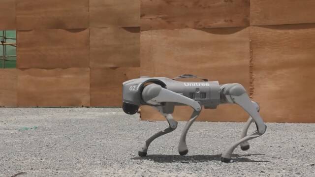 机器狗亮相中柬"金龙-2024"联演