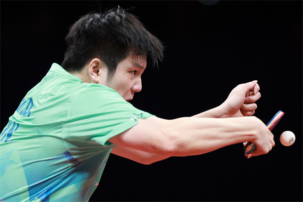 这一次樊振东成了不少人的嘴替