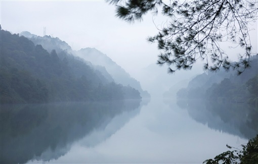 湘江周刊湘韵丨拍雾记