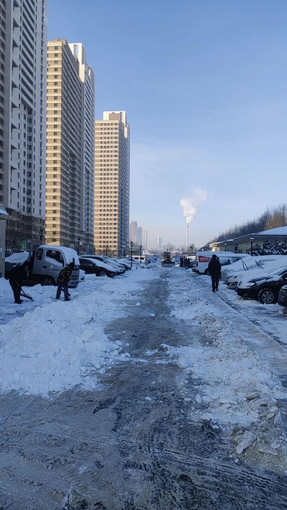 以雪为令闻雪而动香坊区积极开展清雪保障工作四
