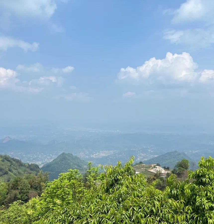 采风期间,大家来到蕨溪镇天宫堂,金盆民居等景点,一路参观,一路探讨.