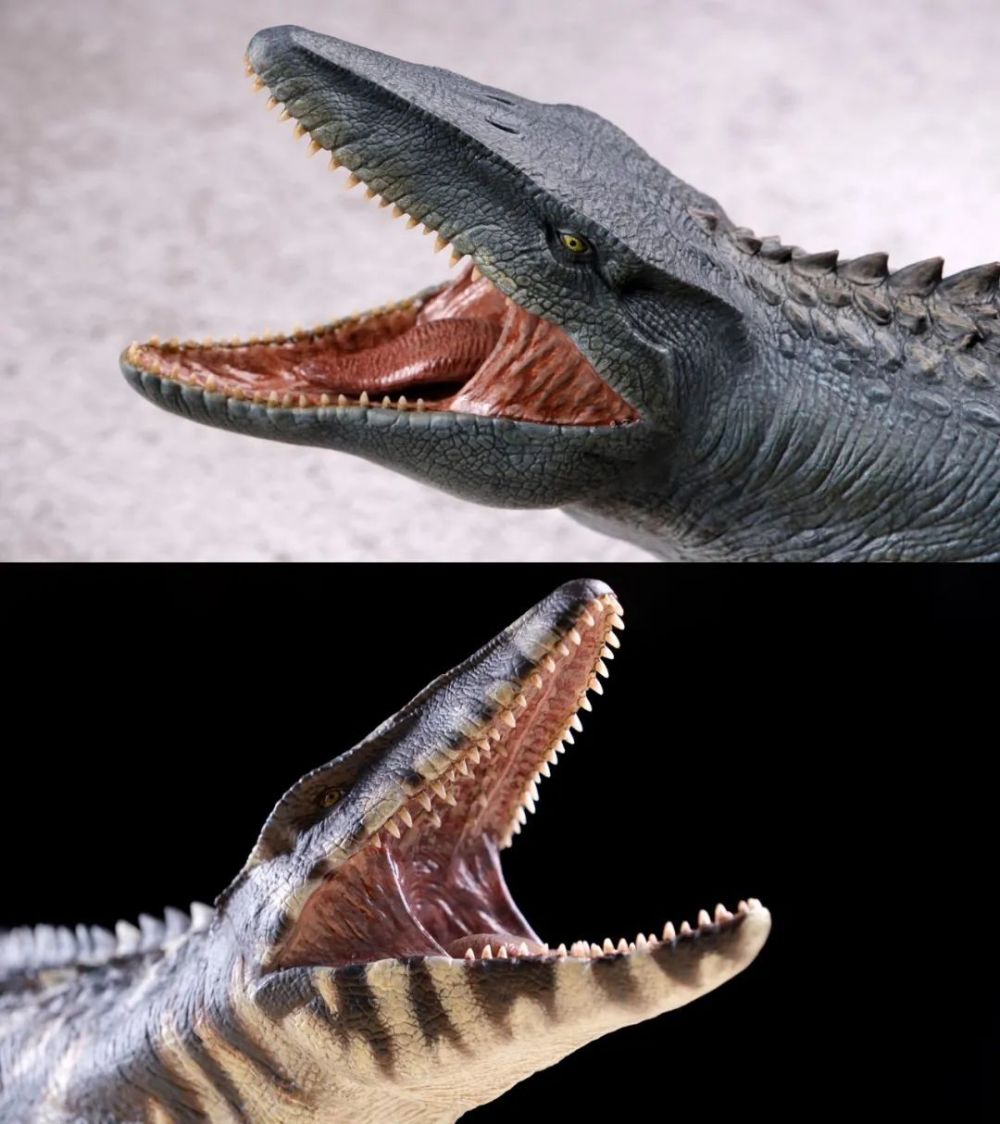 超巨型"海爬"镇宅!本心楠改沧龙2.0入手_腾讯新闻