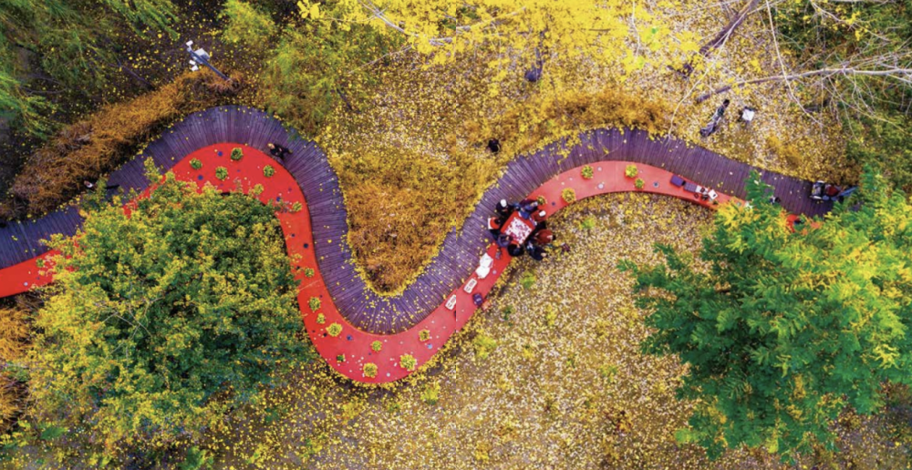 专访俞孔坚在城市里建造新桃源