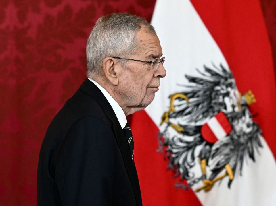 奥地利总统要求尽快组建新政府