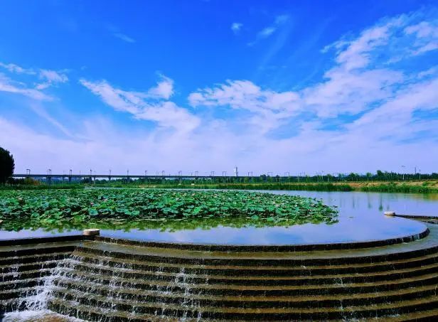 走近美丽河湖 |  泰安:海子河(湿地公园段)