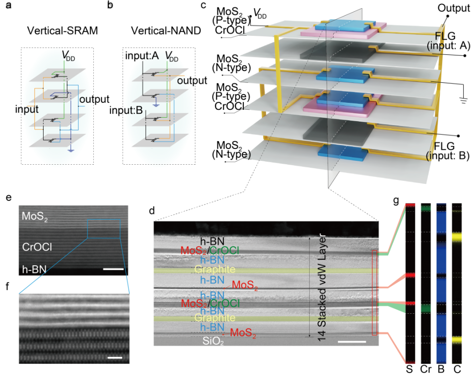 多团队联合攻关设计量子效应掺杂范式,研发p型场效应