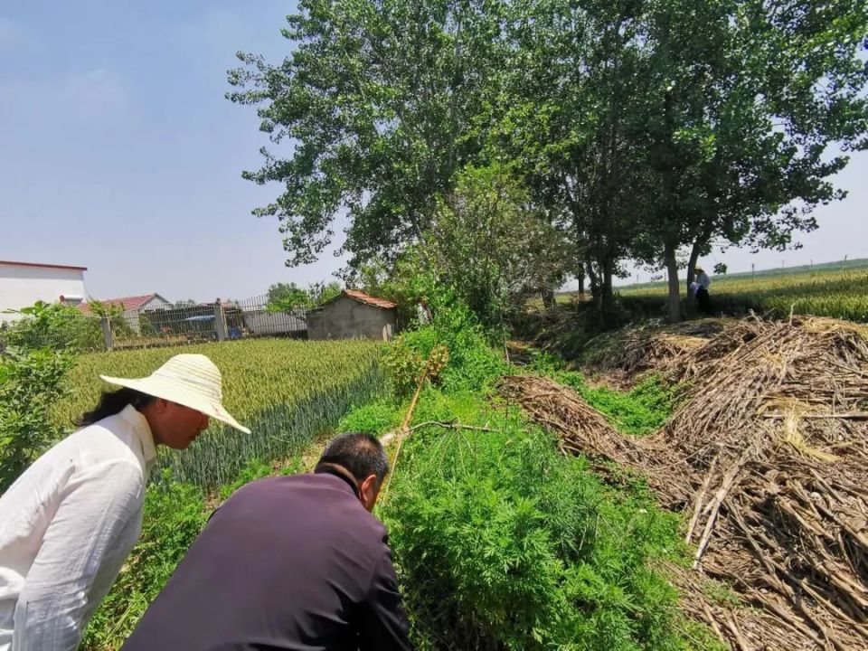 宝应县司法局鲁垛司法所工作人员到田间地头帮助两户村民调解农田灌溉