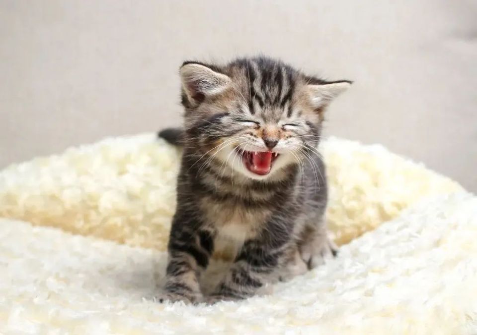 世界微笑日 | 你笑起来真好看!