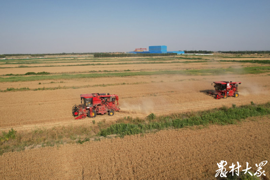 小地变大田车王镇128万亩高标准农田年增产2000万斤粮