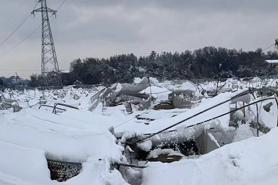 2007年湖南雪灾图片