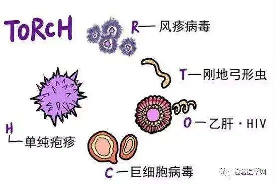 两人打算发生性行为？这些检查你必须知道