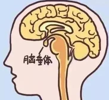 脑子有病图片带字图片