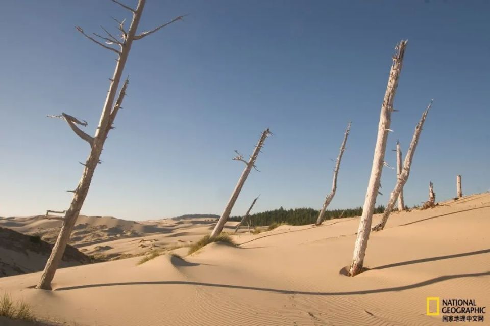 三个世纪了,他们仍未能阻止沙子流动-《沙丘2》背后的真实沙丘_腾讯