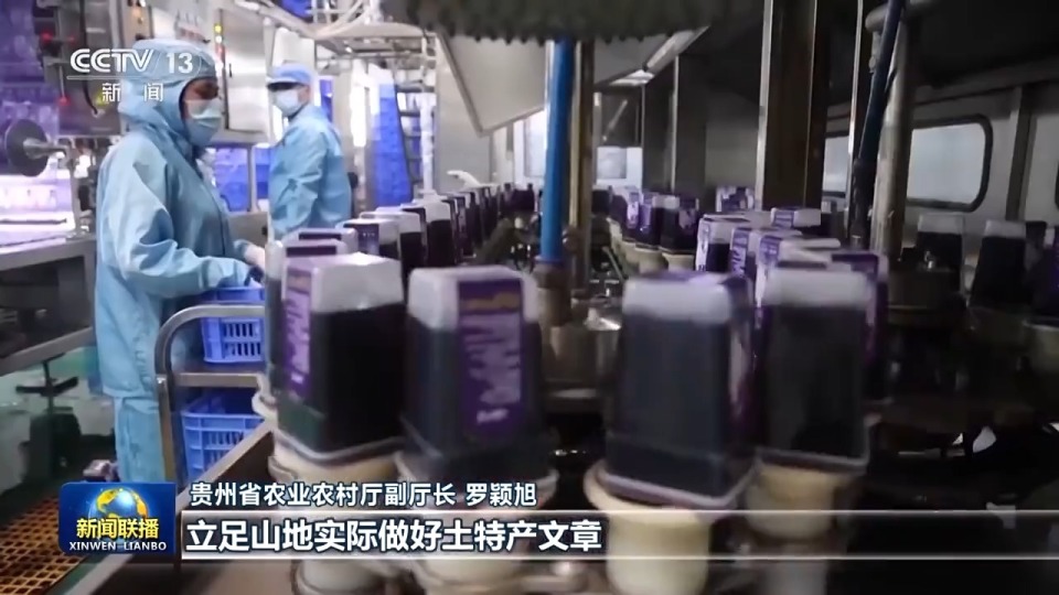 真抓实干 打开改革发展新天地丨促进乡村特色产业延链增效 贵州吉林拓宽农民增收渠道_腾讯新闻