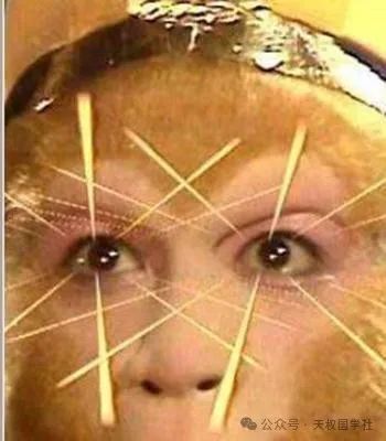 641