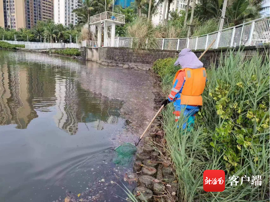 问政海南｜市民吐槽海口红城湖水面有不少脏杂物 环卫企业：已安排人员进行清理