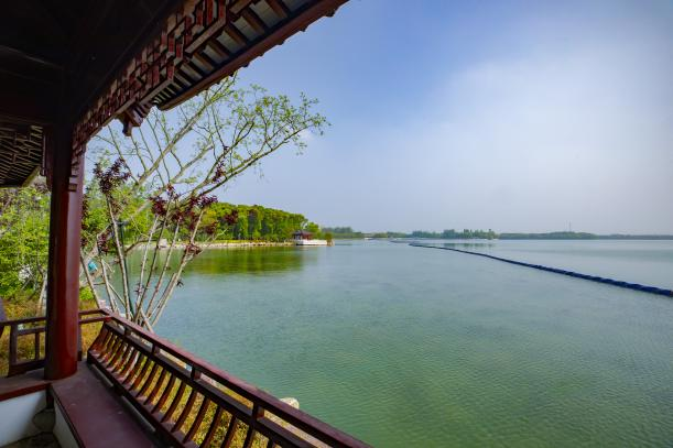 夏日"沪"水游丨青浦:元荡湖畔生活图鉴 美好生活当如是