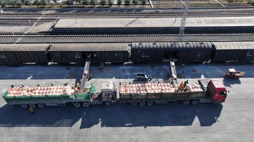 铁路部门依托新版95306货运系统,24小时受理业务,对粮食运输实行优先