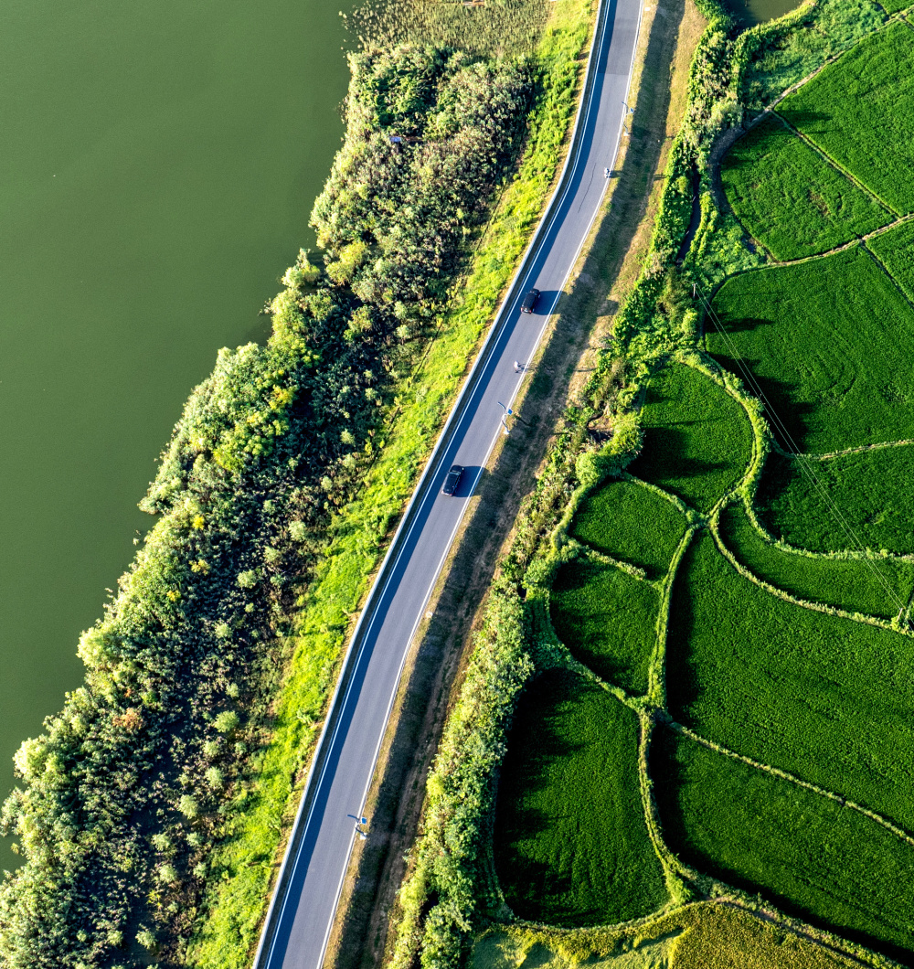 庐江生态环境好湿地美如画