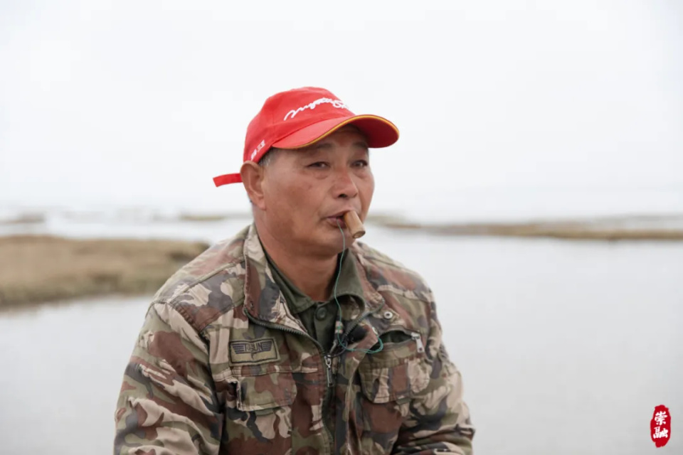 这项1%指标在崇明逐年增长_腾讯新闻