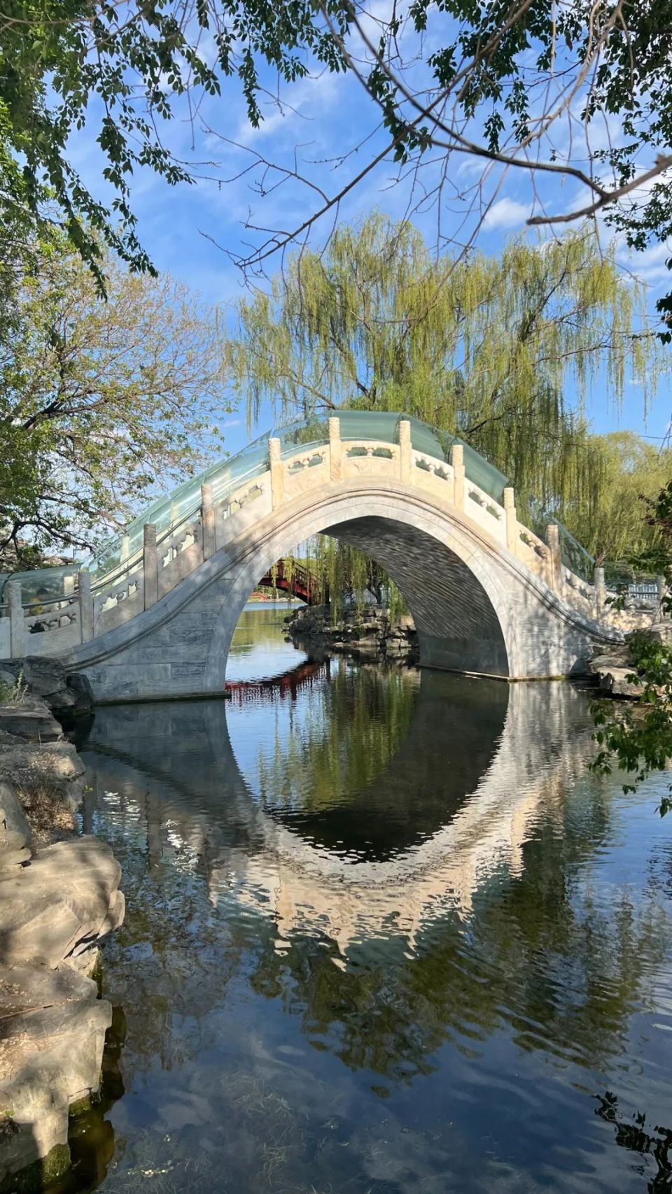 走吧,一起逛逛圆明园|活动招募