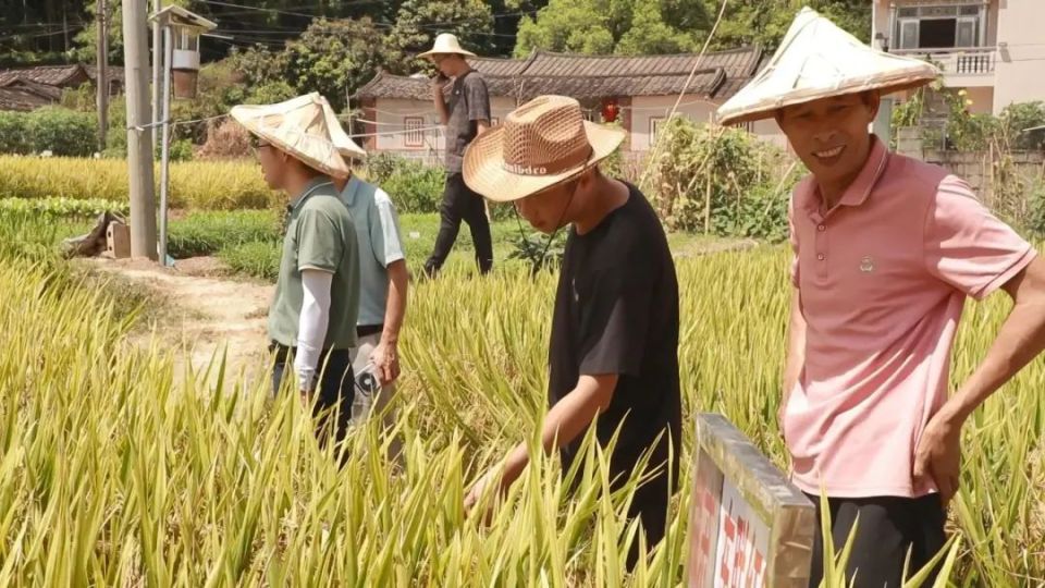 早稻本人照片图片