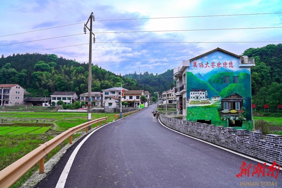 安化冷市镇:"小叶子"书写"大文章" 农文旅点亮"共富"梦