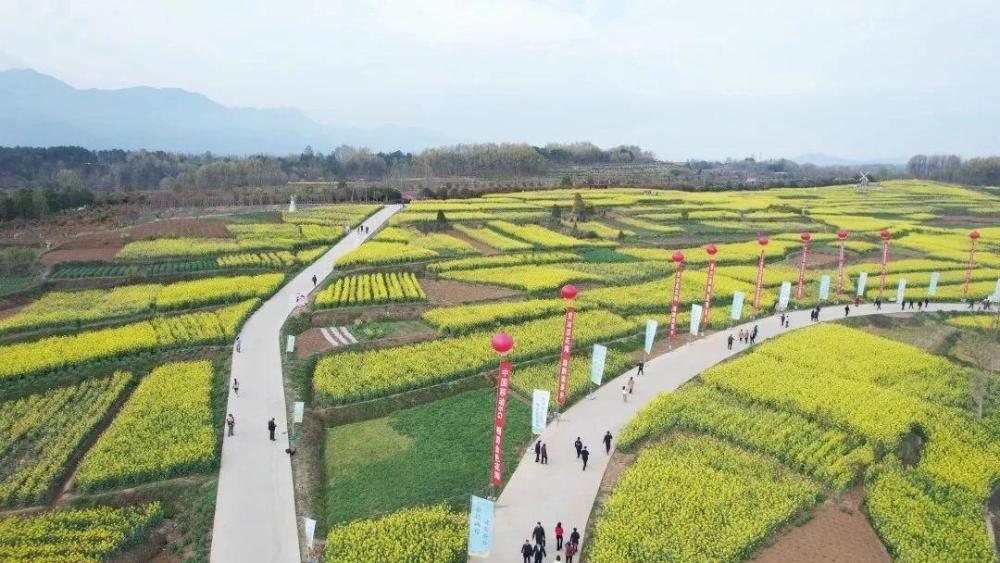 2023年中国最美油菜花海汉中旅游文化节西乡县分会场启动
