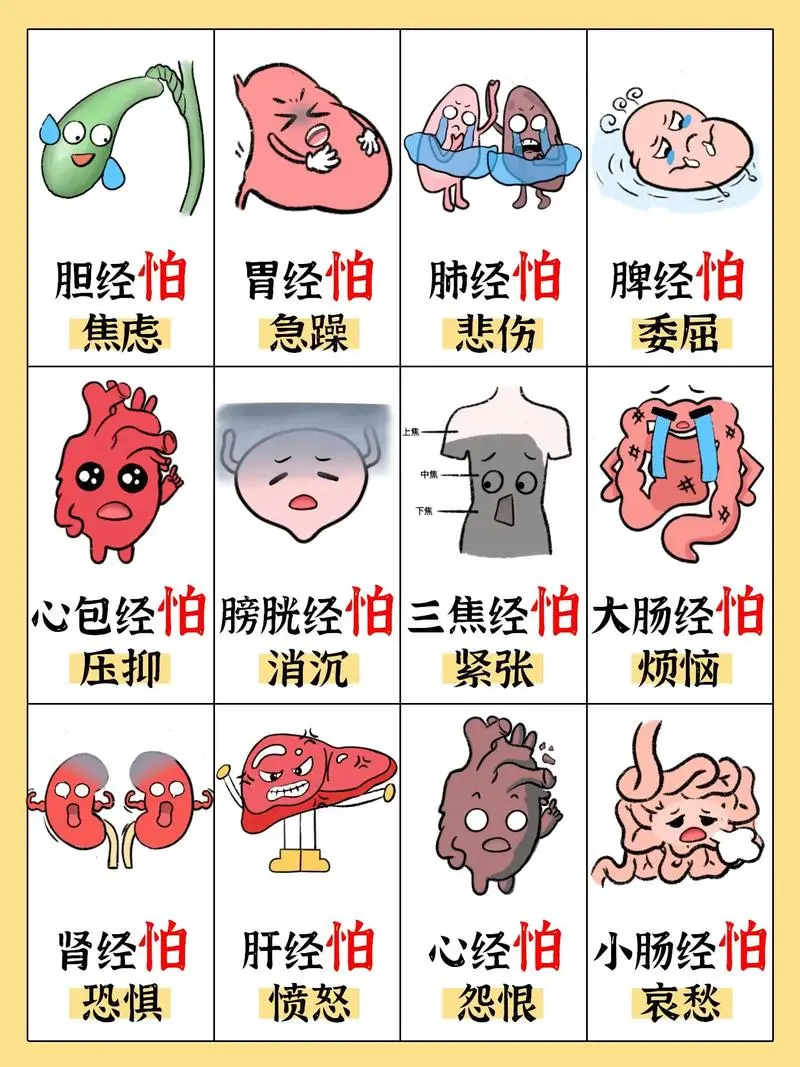 12条经络，代表12种情绪（果断收藏！）-腾讯新闻
