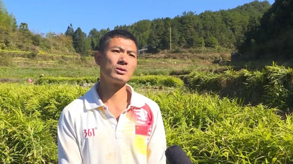 [南方生姜网-图片加载]