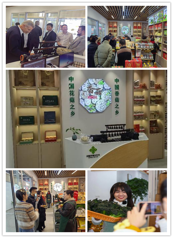 "炎帝神农故里,编钟古乐之乡,千里淮河源头,十里银杏画廊"的随州,因其